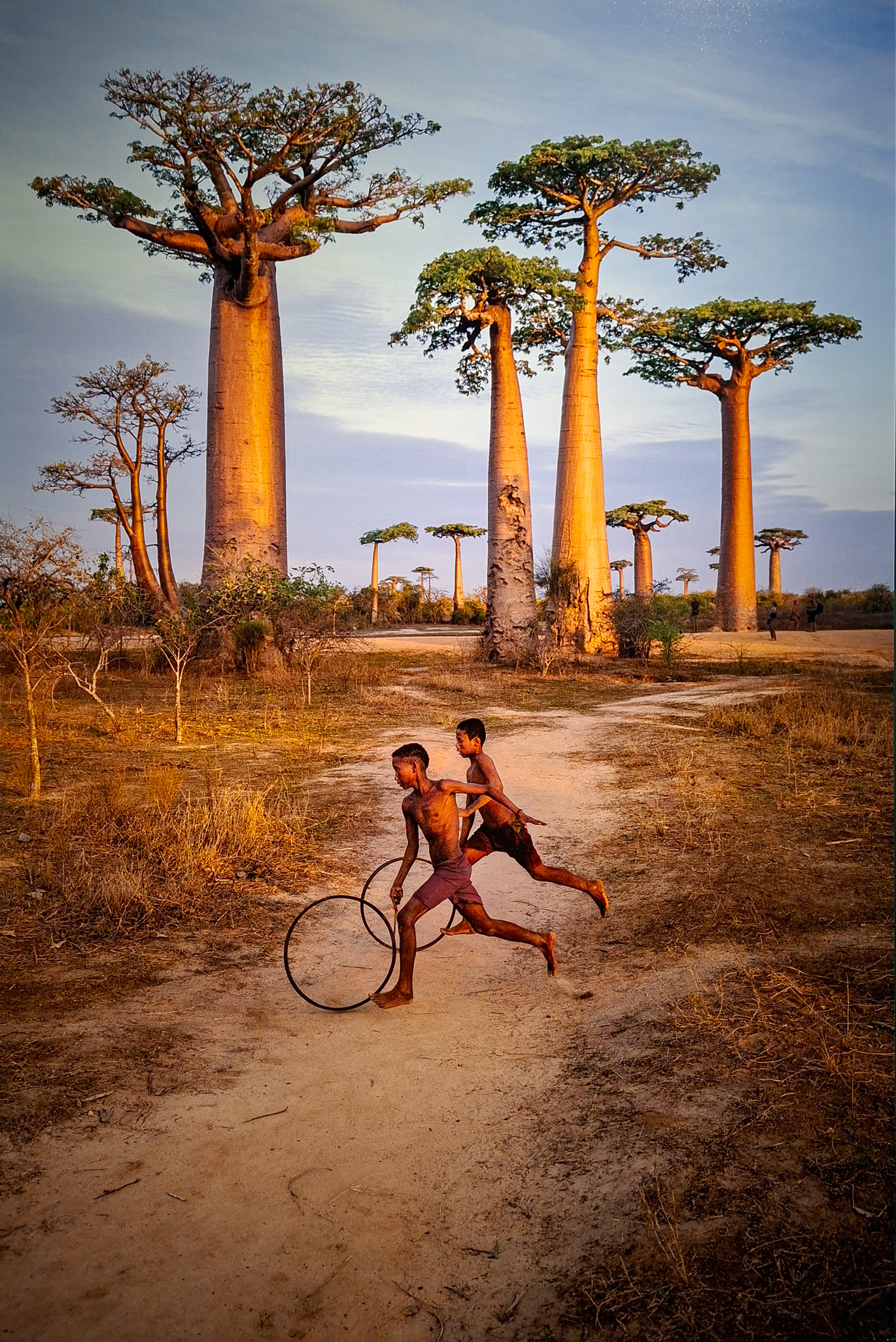 Móvil 20260613 Steve McCurry 50